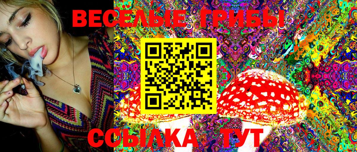 Галлюциногенные грибы Psilocybine cubensis Заводоуковск