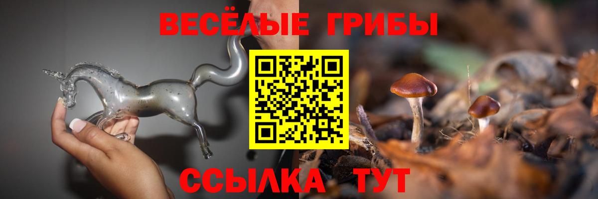 Псилоцибиновые грибы мицелий  Вход с VPN  Заводоуковск 